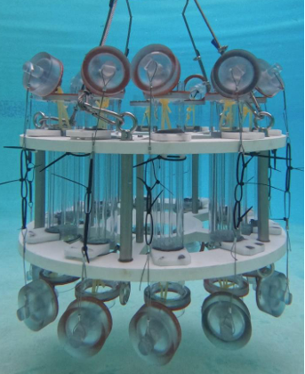 CO2 Deep Sea Sequestration Sampling System